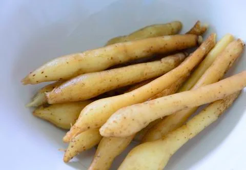 Fingerroot Stock Photos