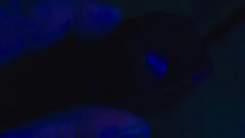 Fingers adjust the brightness of the light with the dimmer switch.close-up Stock Footage 87667040