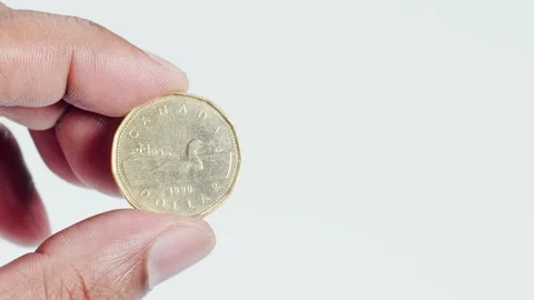 Fingers Hold A Bronze Canada Dollar Coin Stock Footage 248714746