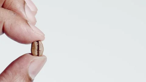 Fingers Hold A Roasted Coffee Bean Stock Footage 248712417