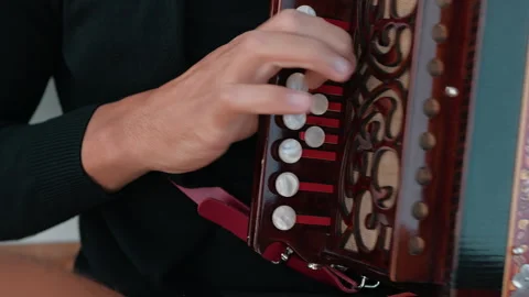 Fingers Moving Fast For A Difficult Composition On The Accordion Stock Footage 291198400