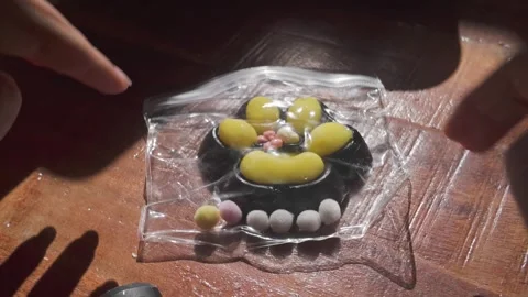 Fingers Squashing Soft Rubber Balls in Plastic Bag as Sensory Fidget Toy Stock Footage 346849464