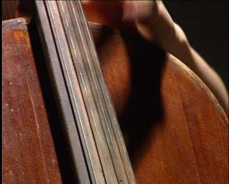 Fingers on the strings of the cello Video stock 1014525