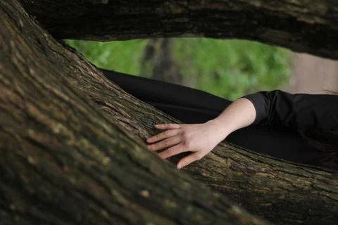 Fingers stroking a tree Foto stock