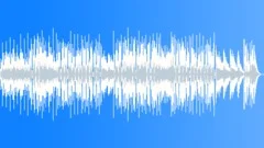 Fingerstyle Acoustic Guitar - Fisherman's Blues Stock Music