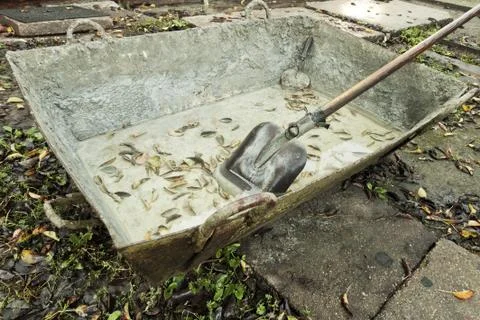 Finish work Stock Photos