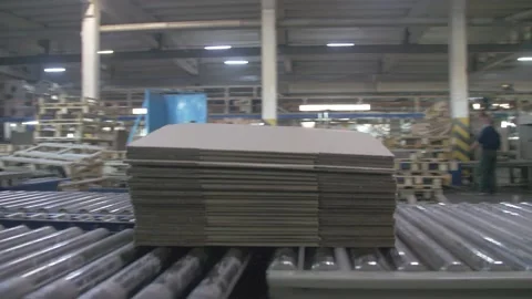Finished cardboard boxes packed in bundles are transported along a production 스톡 동영상 232424561