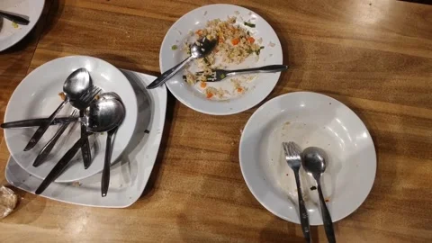 Finished Eating Fried Rice Stock Footage 223091930