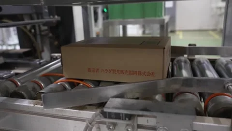 Finished Green Tea Cartons Moving on a Conveyor Stock Footage 340010018