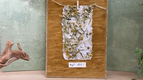Finished wall decor displayed in natural setting. Handmade floral paper on stain Stock Footage 313519105