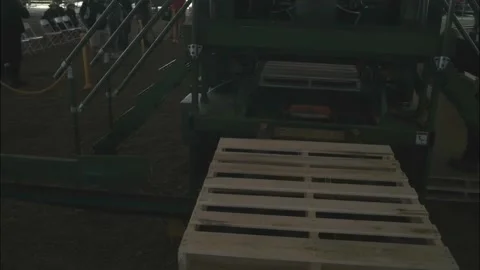 Finished Wood Pallets Stock Footage 201624850