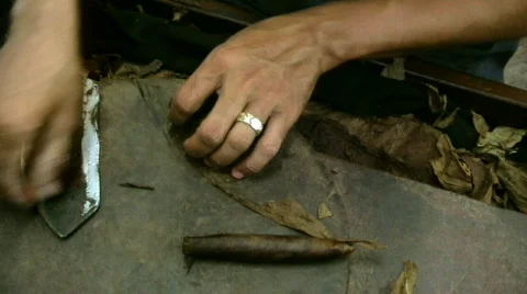 Finishing Cigar 2 스톡 동영상 146060
