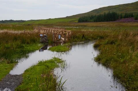 Finlaggan Фото