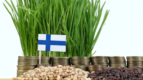 Finland flag waving with stack of money coins and piles of wheat and rice seeds Stock Footage 71929751