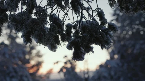 Finland, Winter, Snow, Cold Stock Footage 299886540