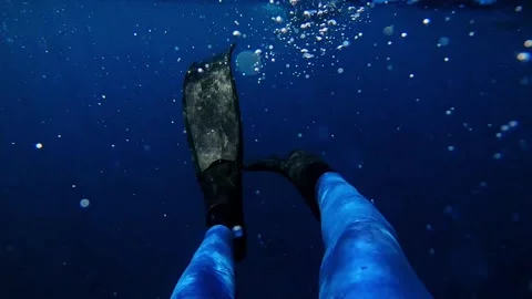 Finning slow motion Vídeo Stock 250385211