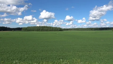 Finnish countryside Stock Footage 77747430