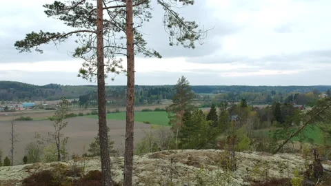Finnish countryside at summertime: Pine trees, fields, forest and farms. Stock Footage 168330548