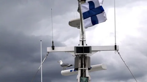 Finnish flag and seagull Stock Footage 94449377