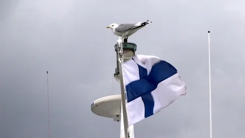 Finnish flag and seagull on a ship in Helsinki Stock Footage 94336836
