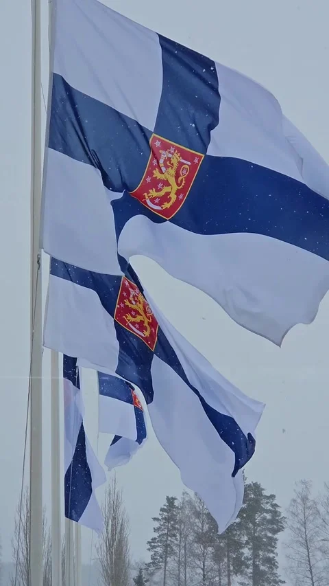 Finnish flag outdoors Video stock 297501523