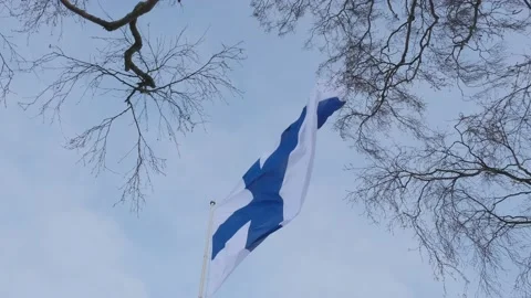 Finnish flag raised for Independence Day Stock Footage 167698459