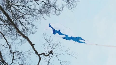 Finnish flag raised for Independence Day Video stock 167698944