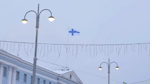 Finnish Flag Waving in the Wind During Winter Snow Vídeos de archivo 330999645