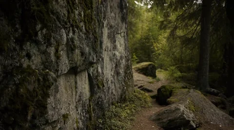 Finnish Forest And Large Boulder  Video stock 67406978
