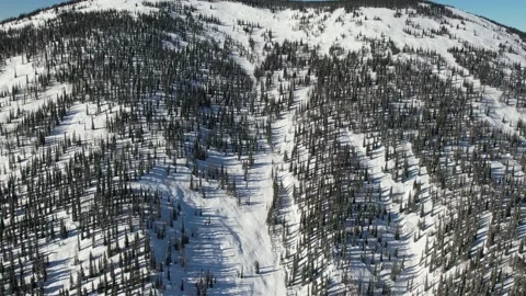 Finnish forest in the mountains Vidéo 171573401