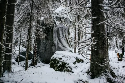 Finnish forest in Winter 스톡 사진