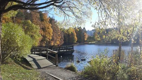 Finnish Lake Stock Photos