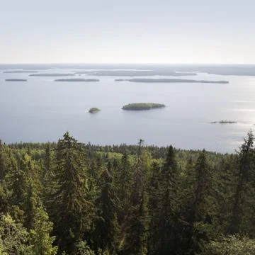 Finnish landscape Foto stock