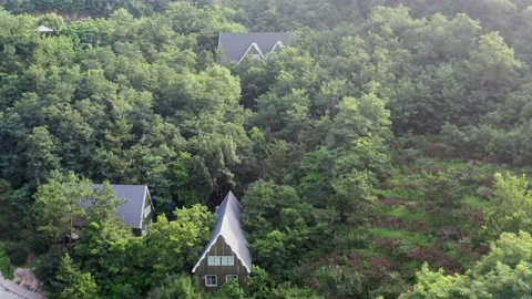Finnish-style villas in the forest Stock Footage 201332086