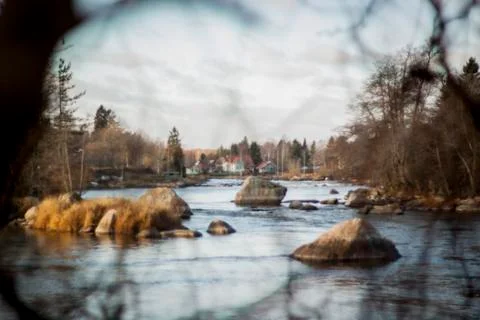 Finnish village through the branches. River view. Stock Photos