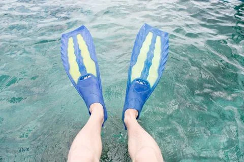Fins Stock Photos