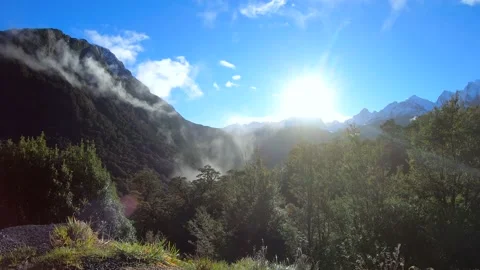 Fiordland National Park Cloud Forest Stock Footage