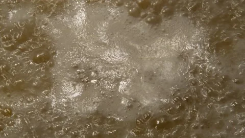 Fiori pasta is being prepared Vidéo 314474287