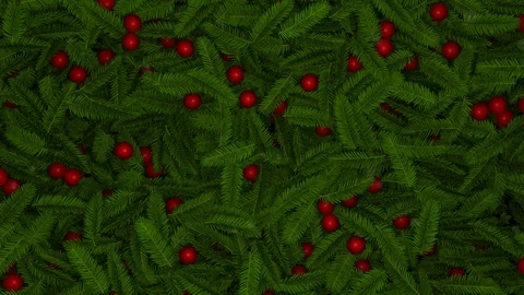 Fir and Globes Reveal Stock Footage 100542931