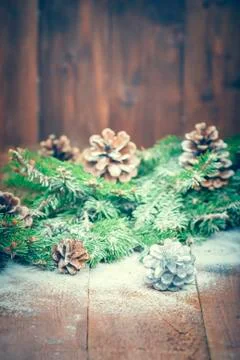 Fir and pine cone Stock Photos