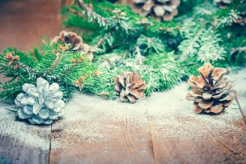 Fir and pine cone Foto stock