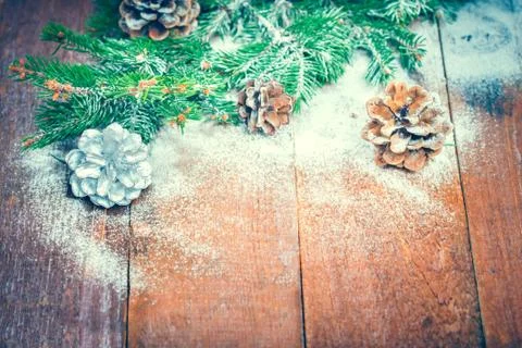 Fir and pine cone Foto stock