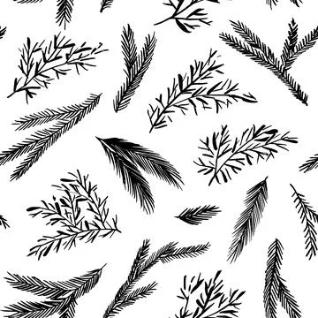 Fir and pine cones vector seamless pattern. Stock Illustration
