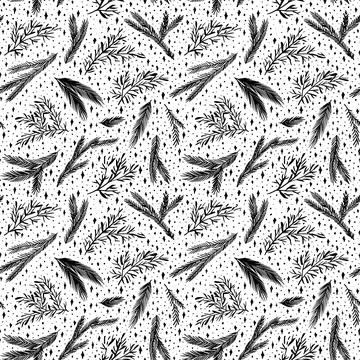 Fir and pine cones vector seamless patter. Stock Illustration