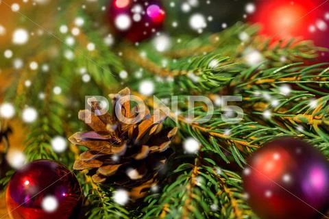 Fir branch with christmas ball and pinecones Stock Photos