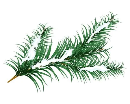 Fir Branch Christmas Element Stock Illustration