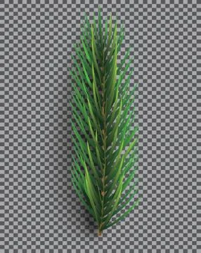 Fir Branch. Christmas Tree. Pine Sprig on Transparent Grid Background. Stock Illustration