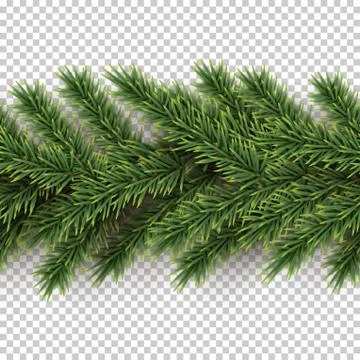 Fir branch horizontal seamless pattern isolated on transparent background Illustrazione stock