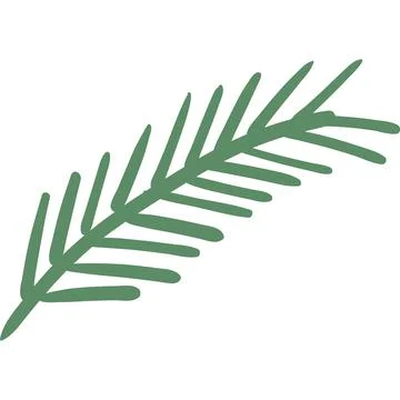 Fir branch icon pine needle vector evergreen twig Stock Illustration