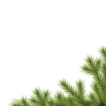 Fir branch lower right corner Stock Illustration